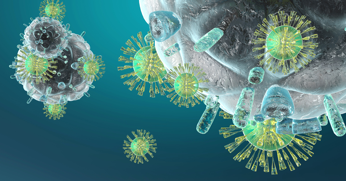 IMNFORM - HERBAL IMMUNITY - Image 2