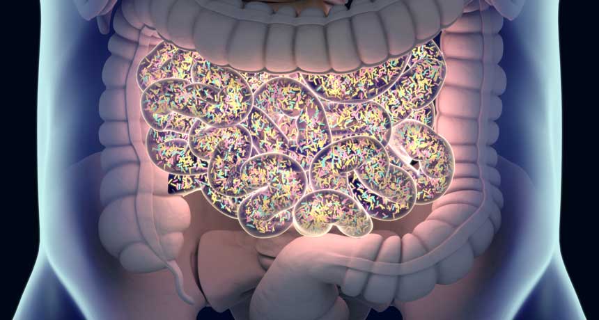 OXYGUT - COLONIC FORMULA - Image 5