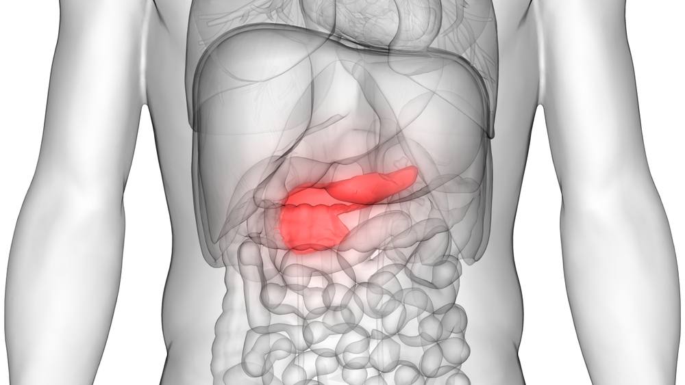 PNFORM - PANCREAS HERBS - Image 2
