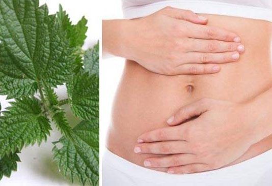 CSTFORM - CONSTIPATION HERBAL - Image 2
