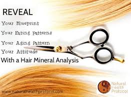 HMD® HAIR MINERAL ANALYSIS & TOXIC METALS TEST - Image 3