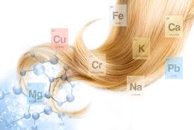 HMD® HAIR MINERAL ANALYSIS & TOXIC METALS TEST - Image 4