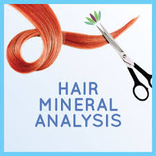 HMD® HAIR MINERAL ANALYSIS & TOXIC METALS TEST - Image 7