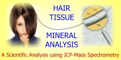 HMD® HAIR MINERAL ANALYSIS & TOXIC METALS TEST - Image 6