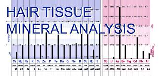 HMD® HAIR MINERAL ANALYSIS & TOXIC METALS TEST - Image 8