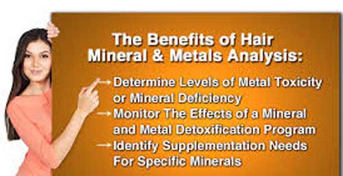 HMD® HAIR MINERAL ANALYSIS & TOXIC METALS TEST - Image 9
