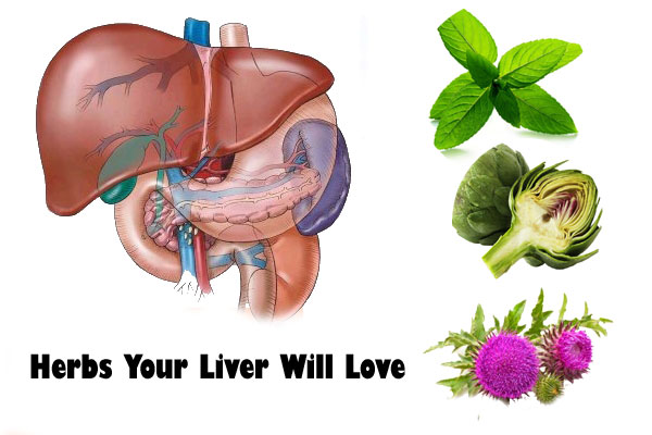 HEPATO PLUS – Liver Support - Image 3