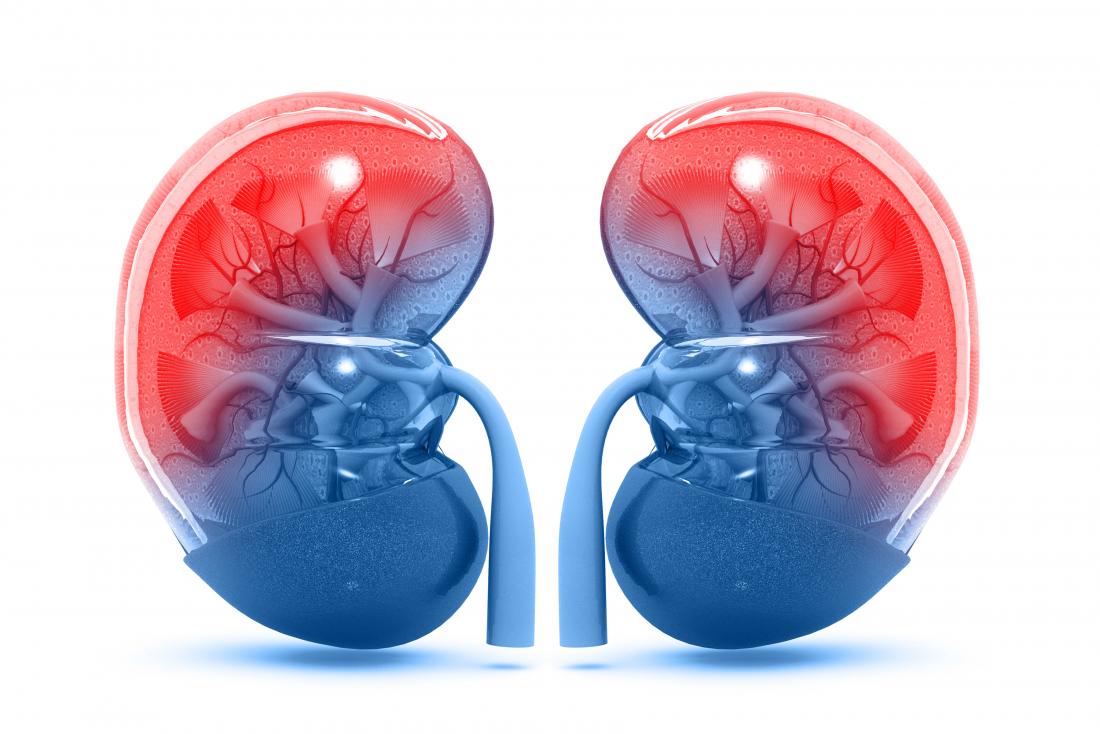 KSFORM - KIDNEY HERBAL - Image 2